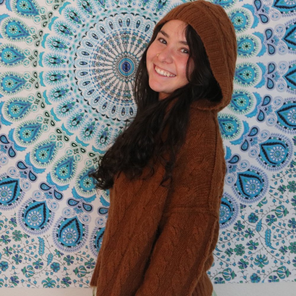 American Eagle Cable Knit Sweater
